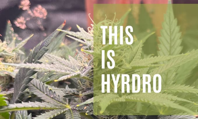 hydroponic vertical system design fix optimize