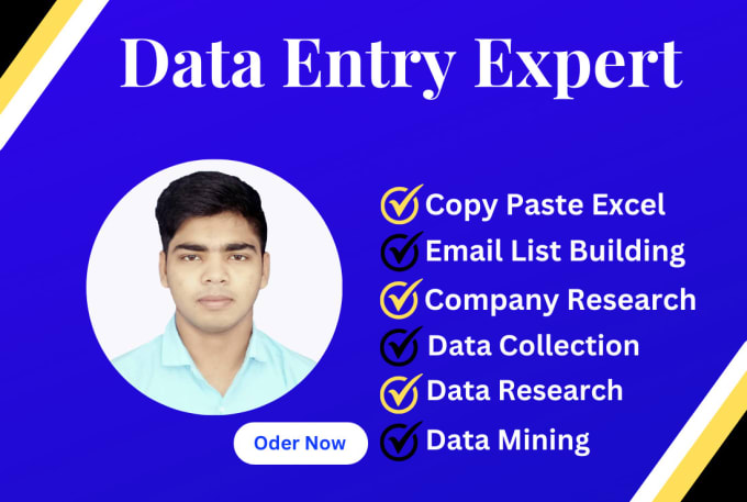 do data entry, web research and convert pdf to excel