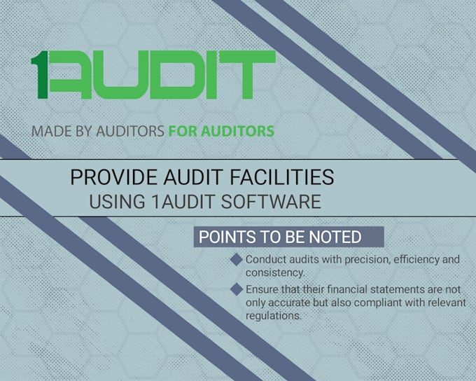 provide audit services on 1audit software