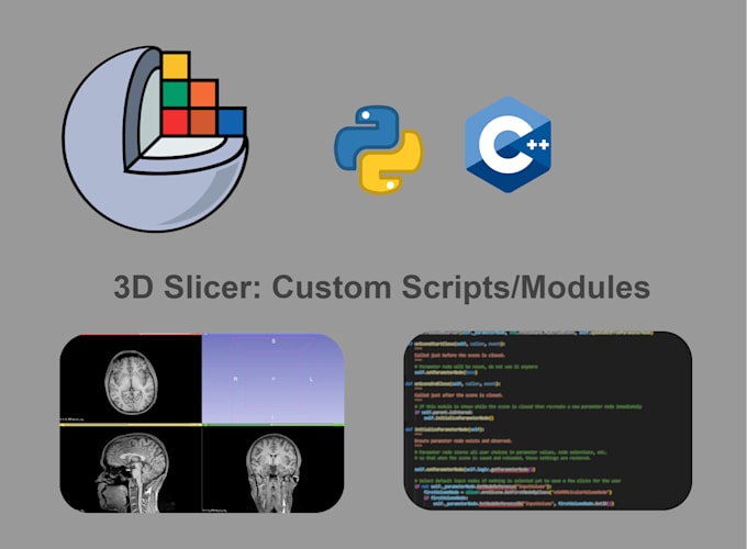 Create custom modules and scripts in 3d slicer for you by Mikefan | Fiverr