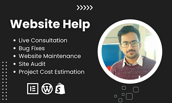 do wordpress help, shopify help, live consultation
