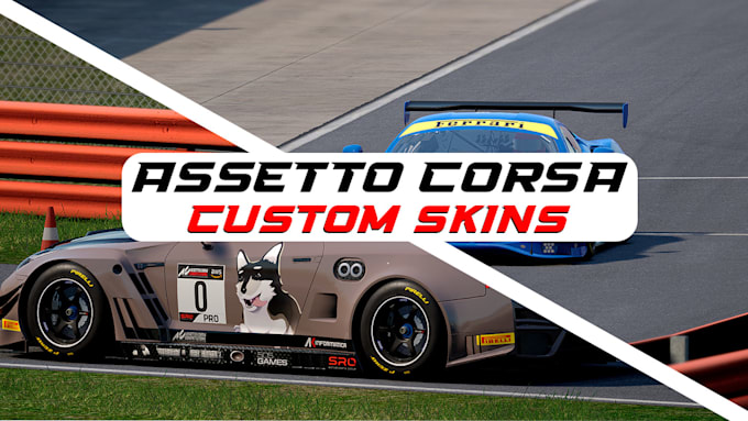make you a custom assetto corsa skin