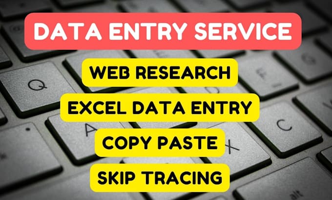 do excel data entry, web research, copy paste
