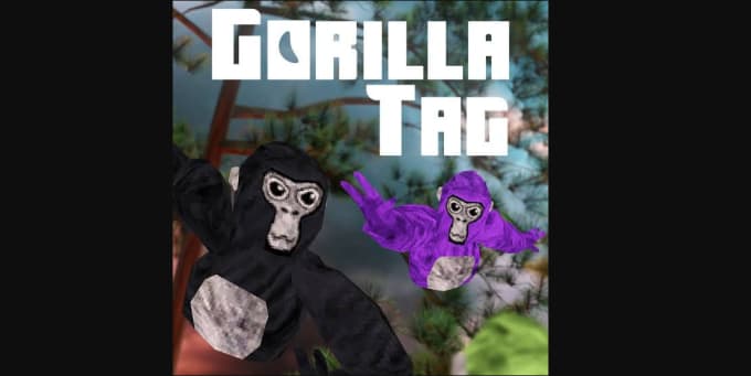 My friend was playing Gorilla Tag… : r/oculus