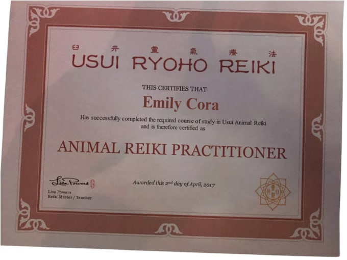 reiki healing session for you