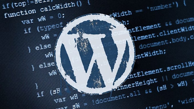 build wordpress website and provide customization work