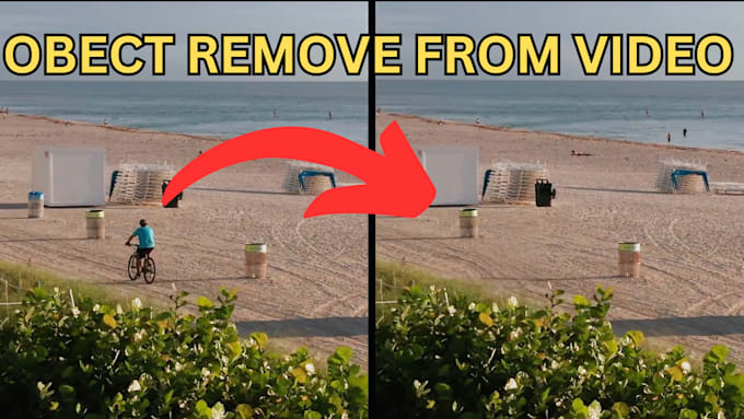 remove or add objects, wire, text, logo from video