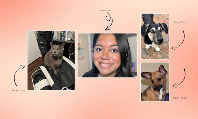 create dog or pet ugc content for social media