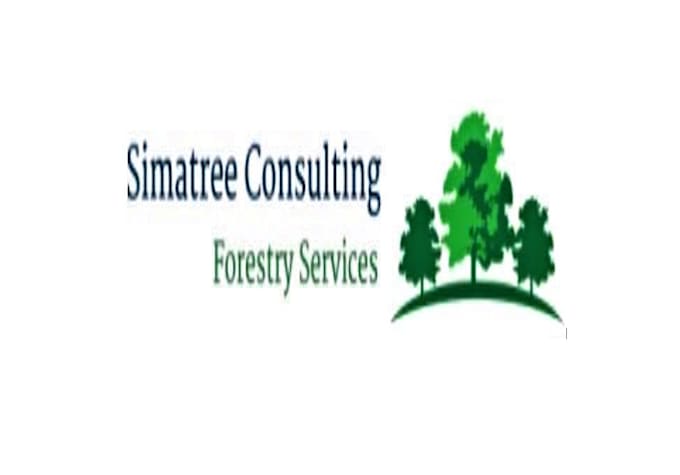 write certified arborist reports
