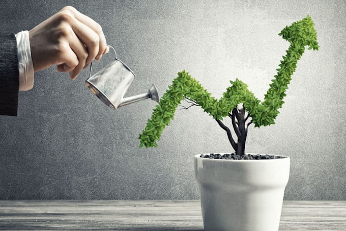 be business development expert