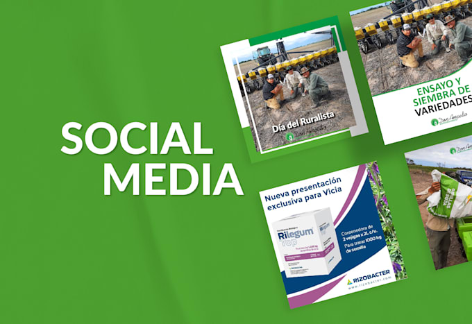 create your professional instagram strategy and content