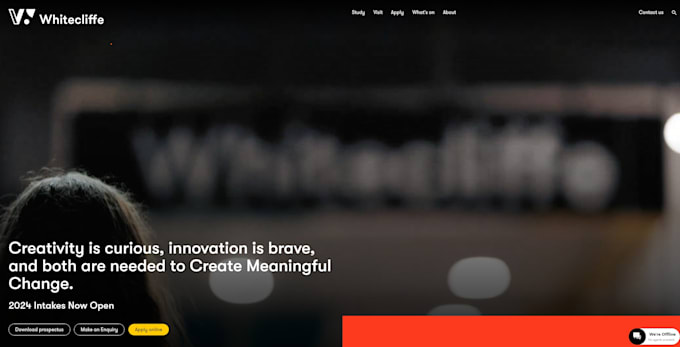 do custom web app
