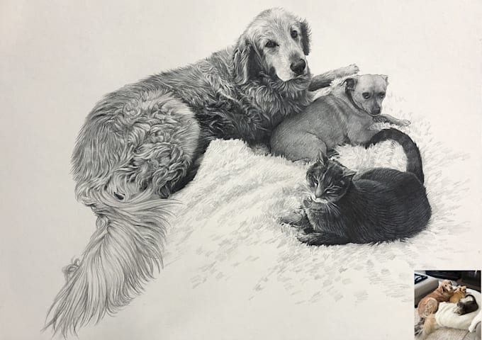 draw pet portrait sketch from photo hand drawn dog cat horse pencil drawing