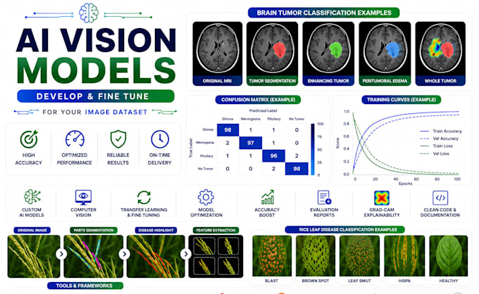develop and fine tune ai vision models for your image dataset
