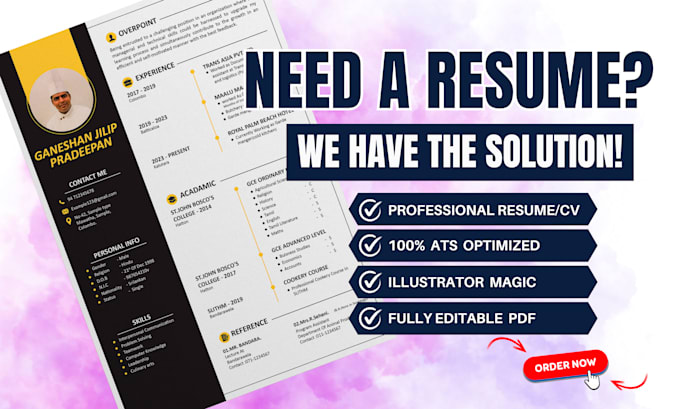 write professional resume design or CV design
