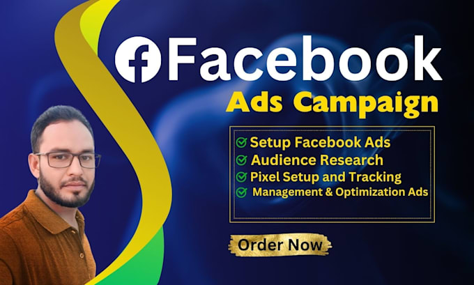 be a professional facebook ads campaign expert