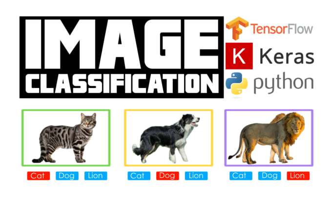Do image classification projects in python by Ahsan_nadir | Fiverr