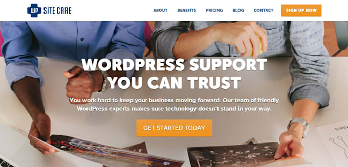 build an premium wordpress website