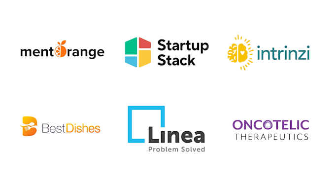 create professional custom logo animation