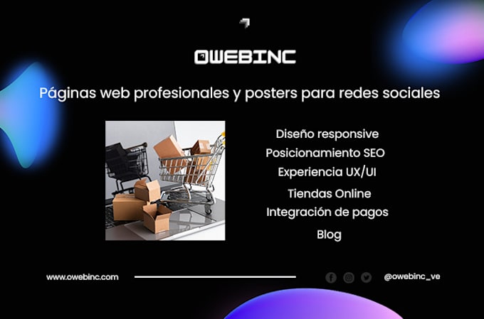 professional website and wordpress development