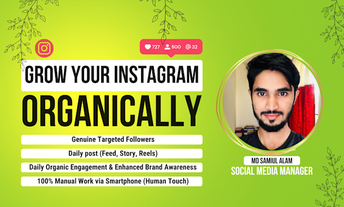do instagram promotions organic growth and daily posts