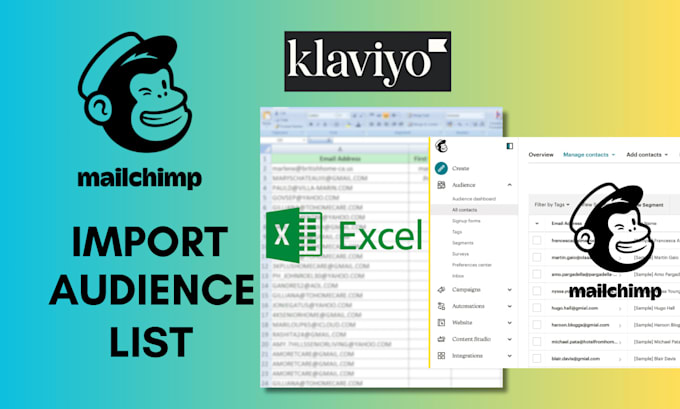 Import leads from excel to mailchimp klaviyo by Lover web Fiverr