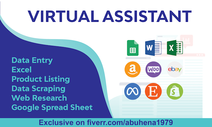 provide efficient data entry and virtual assistant services, excel, copy paste