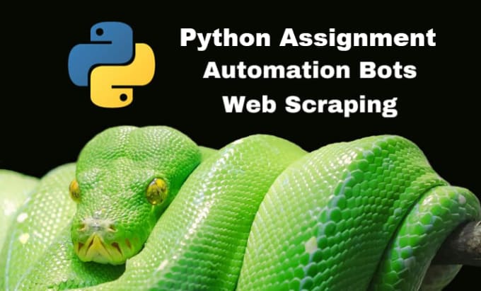 Do your python project by Samprogramming | Fiverr