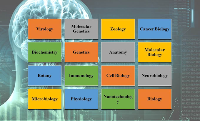 do bioinformatics biotechnology and biology technical research
