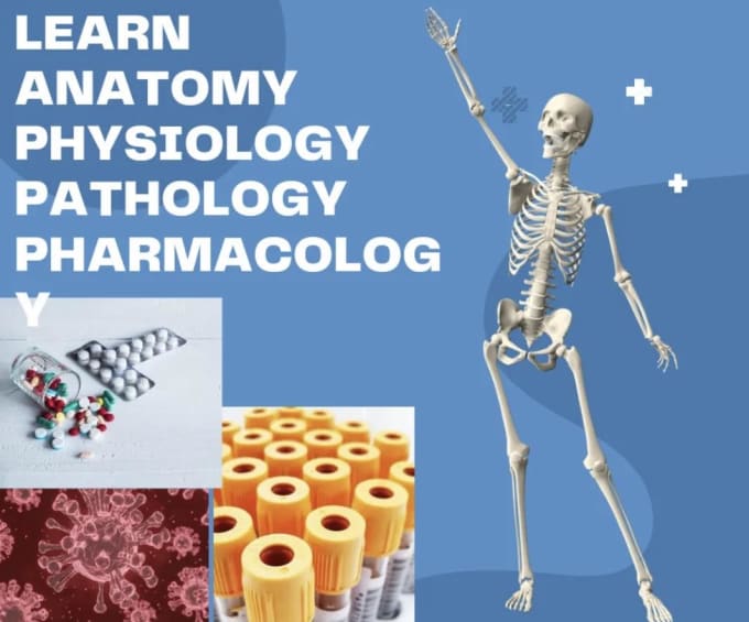 Be Your Tutor Of Biology Anatomy Pharmacology Physiology And