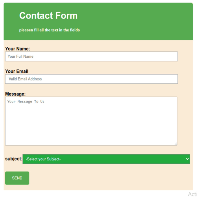 Make unique stunning forms development web development by Muhammad3844