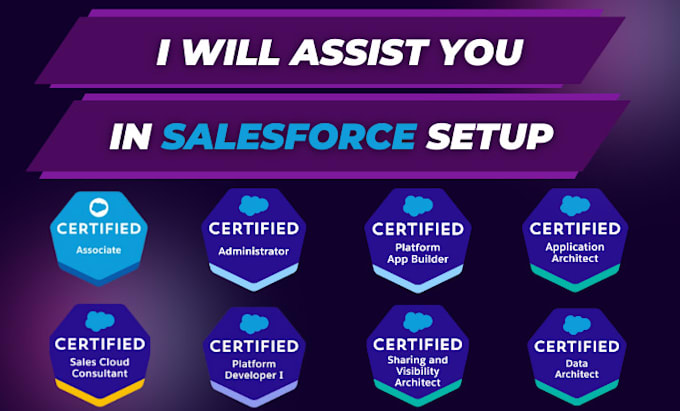 assist you in the salesforce setup