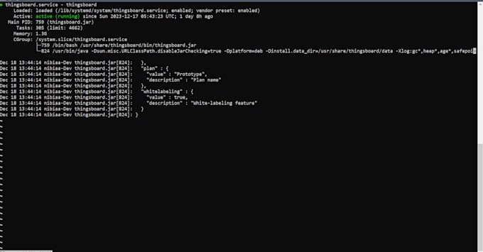 Install thingsboard into your server and customize dashboard by Ujal ...