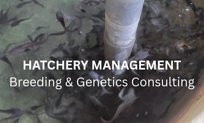 be your fish breeding and hatchery management consultant