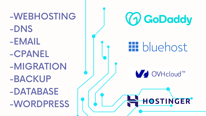 support to fix godaddy, blue host, hostinger issues