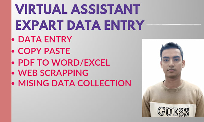do excel data entry and copy paste job