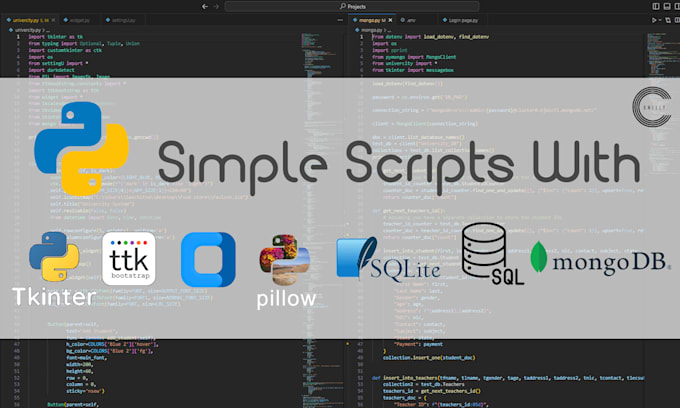 do your simple python projects and debugging