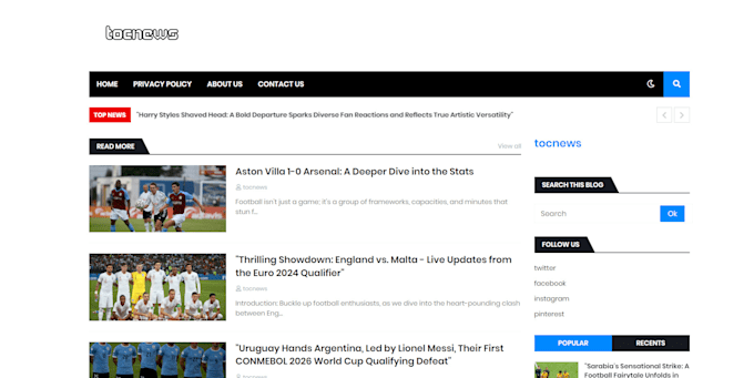make blogging and ecommerce website for you
