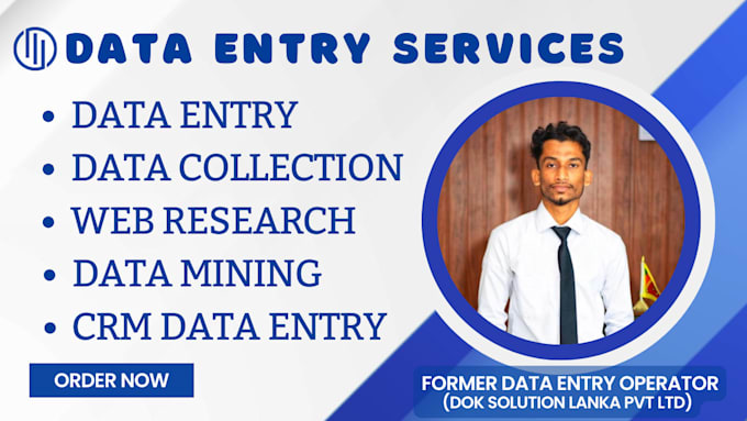 do excel data entry, copy paste and web research