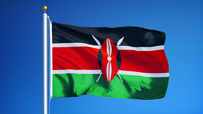 provide professional services from kenya
