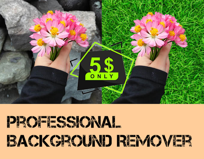 provide high quality background removal