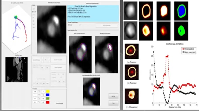 Do medical image analysis using matlab and python by Techy_img | Fiverr
