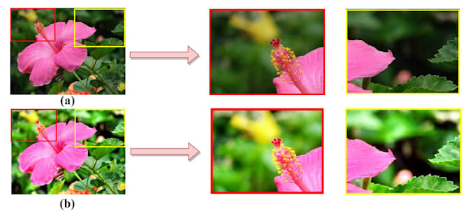 Do image processing using matlab by F_matoob | Fiverr