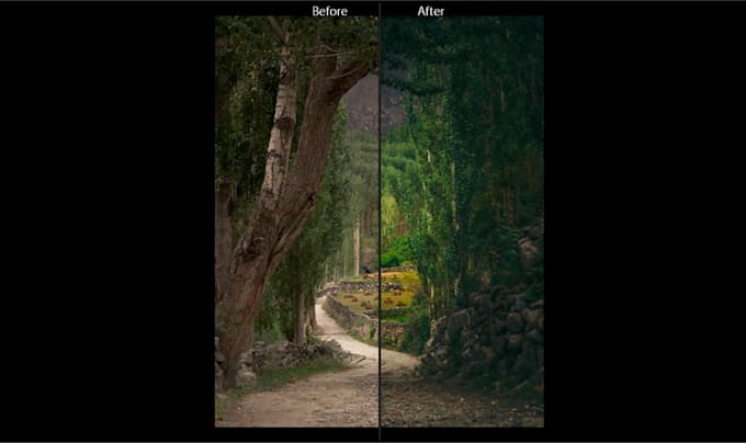 Do professional image editing in lightroom and camera raw by Fareedroy ...
