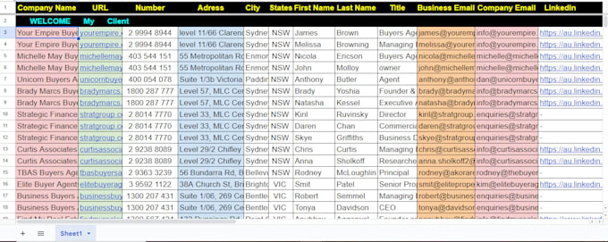 do excel data entry, cleaning, copy paste, remove duplicates, email finding