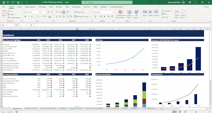 prepare investor ready financial model and forecasts