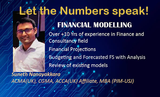 do business consultancy, budgets, analysis, excel sheets