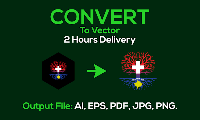 do manual vector tracing or convert to vector quickly