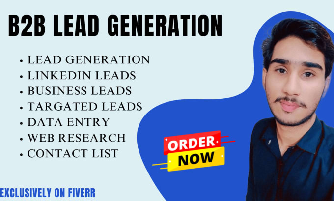 I will do data entry, b2b lead generation, list building, and prospect list