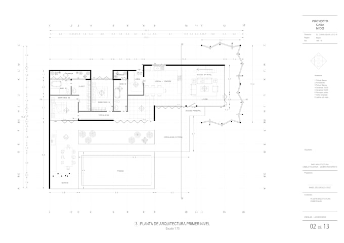 desing and draw your architecture project